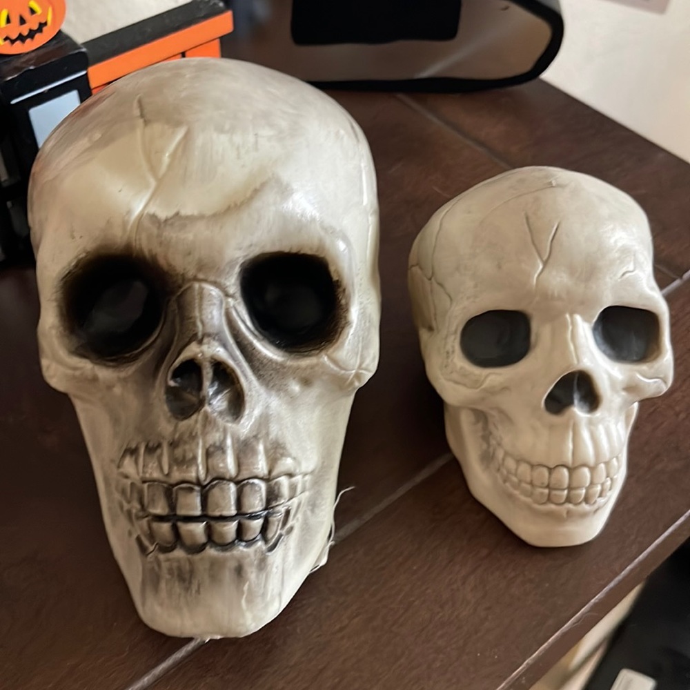 Hollow plastic skulls
